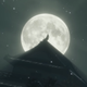 Image for article titled 30 Hours With Sekiro: Shadows Die Twice